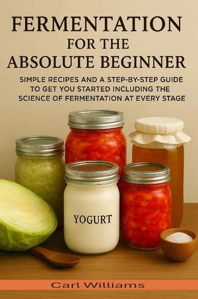Book cover: fermentation for the absolute beginner