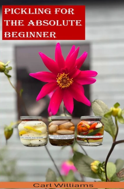 Pickling for the Absolute Beginner (book cover)